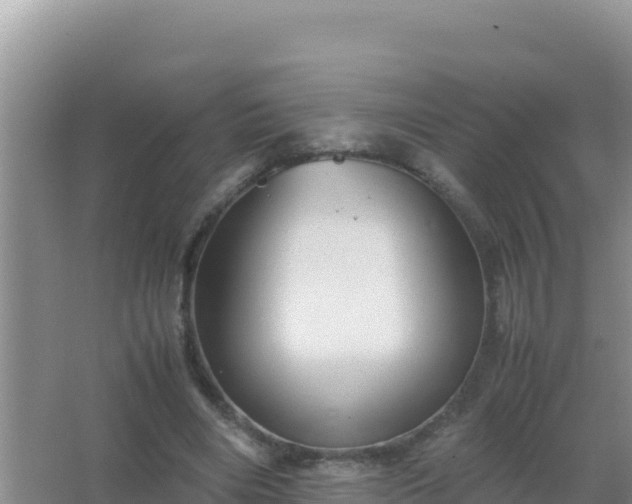 X0000067500490200604150111