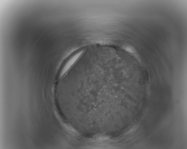 X0000067500491200604150111