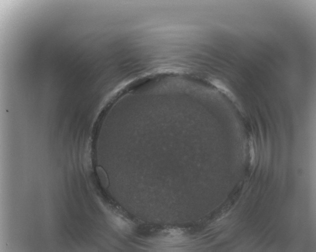 X0000067500492200604150111