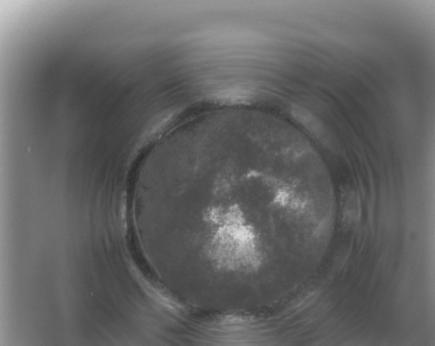 X0000067500494200604150111