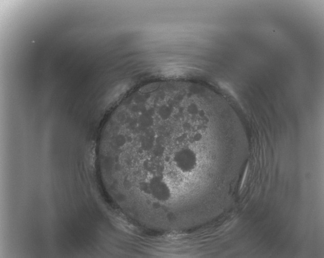 X0000067500495200604150111