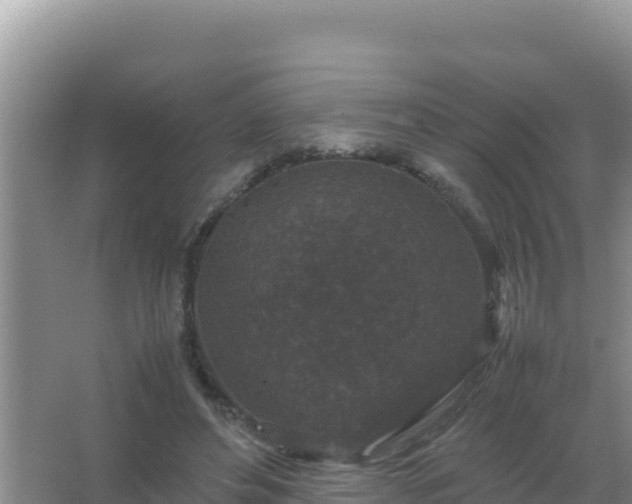 X0000067500496200604150111