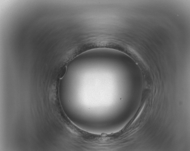 X0000067500497200604150111