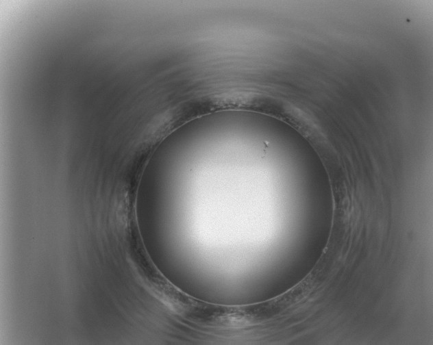 X0000067500498200604150111