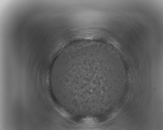 X0000067500499200604150111