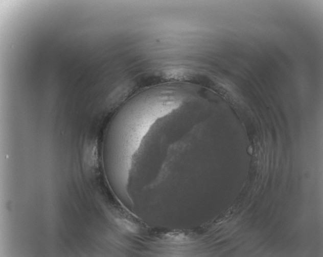 X0000067500502200604150111