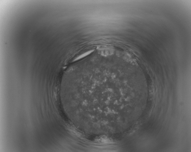 X0000067500503200604150111