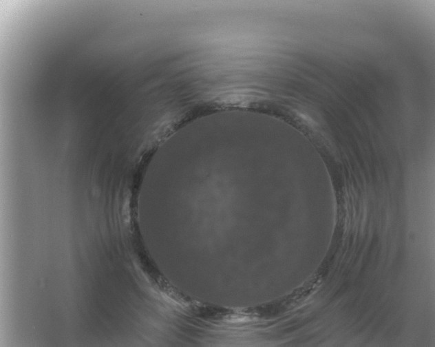 X0000067500504200604150111