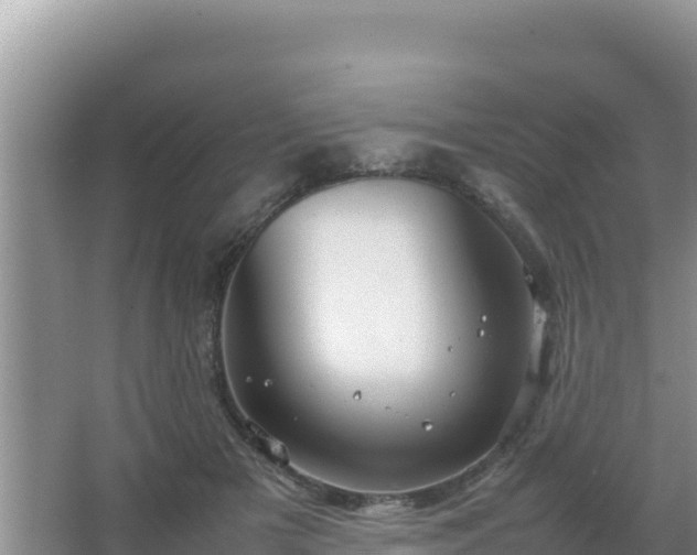 X0000067500505200604150111