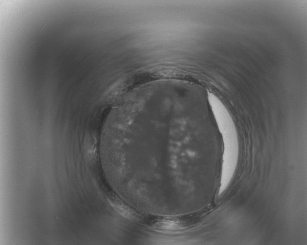 X0000067500507200604150111