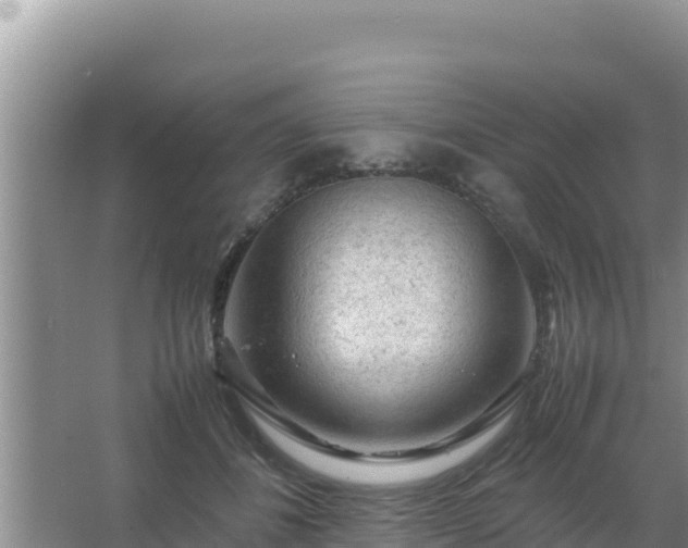 X0000067500508200604150111