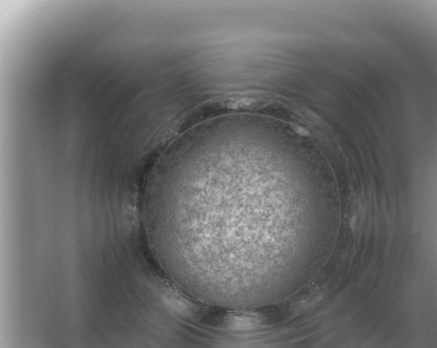 X0000067500510200604150111