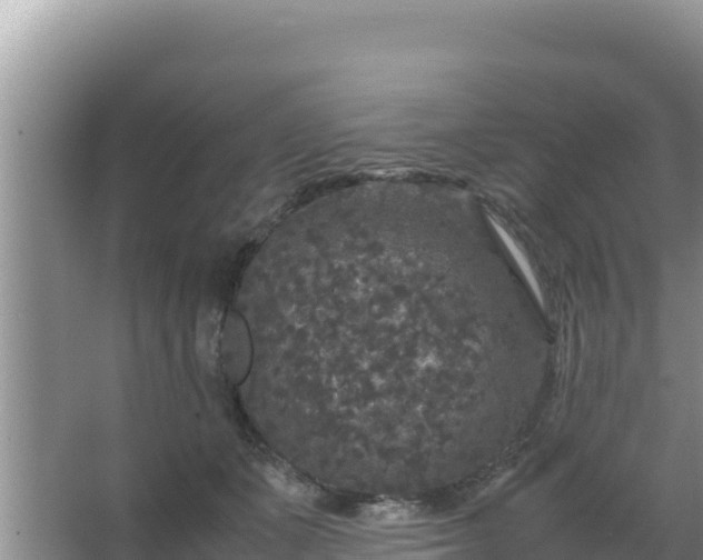 X0000067500511200604150111