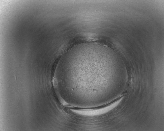 X0000067500512200604150111