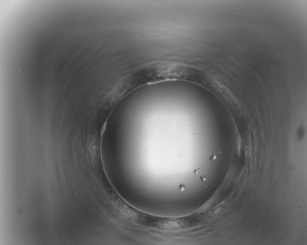 X0000067500513200604150111