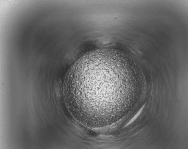 X0000067500515200604150111