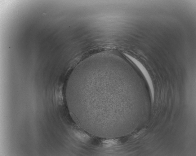 X0000067500516200604150111