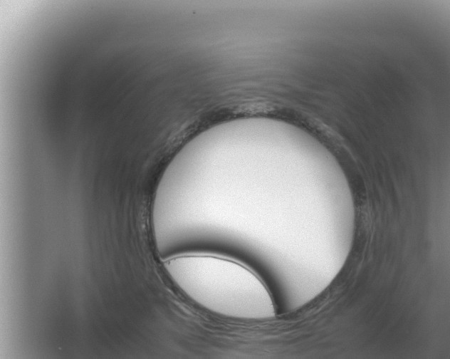 X0000067500517200604150111