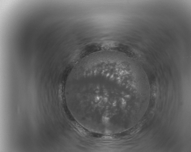 X0000067500519200604150111