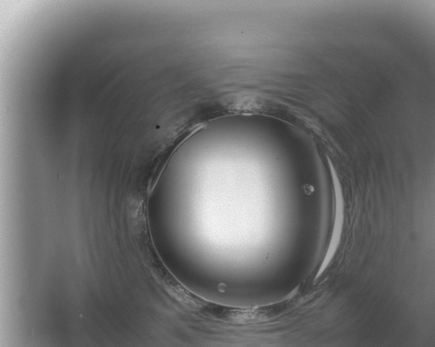 X0000067500521200604150111