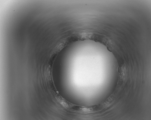 X0000067500522200604150111