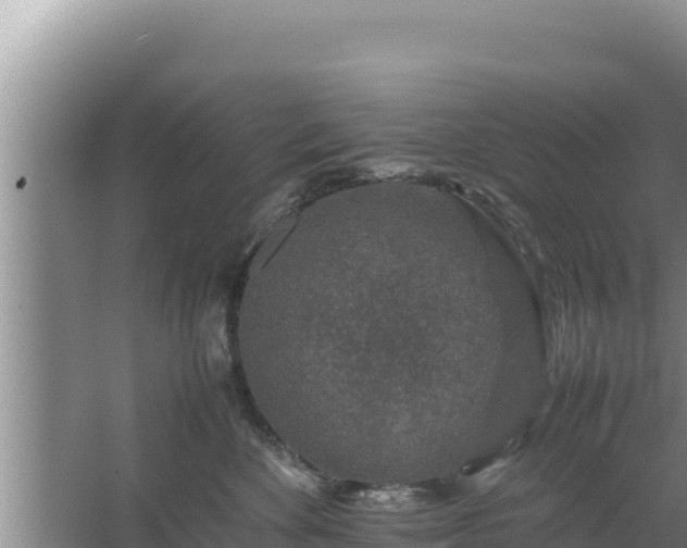 X0000067500524200604150111