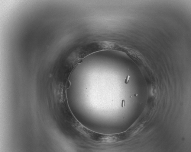 X0000067500525200604150111