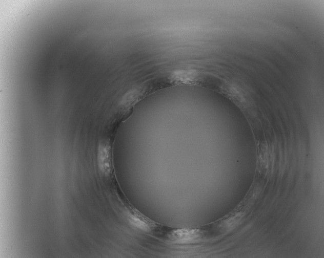 X0000067500526200604150111