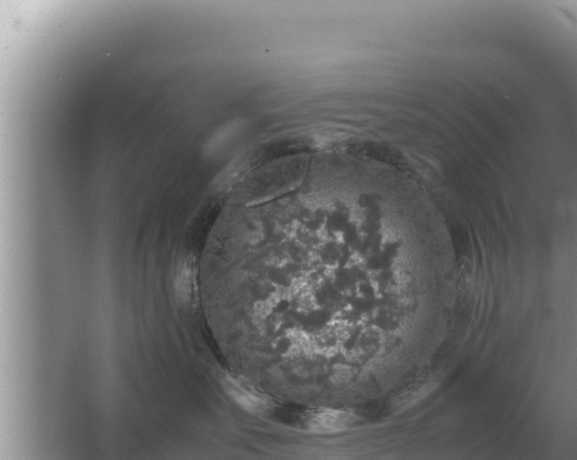 X0000067500527200604150111