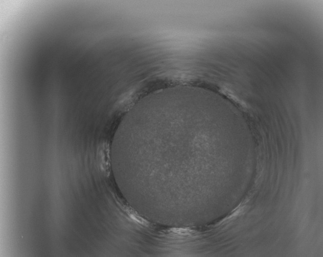 X0000067500528200604150111