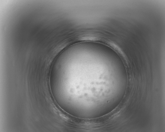 X0000067500529200604150110