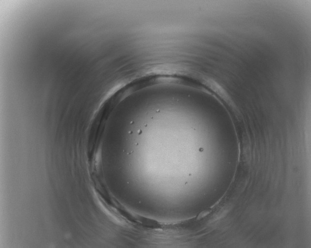 X0000067500530200604150110