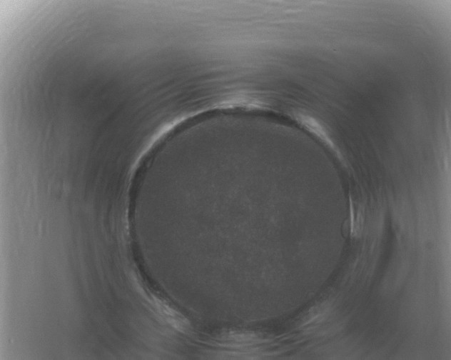 X0000067500531200604150110