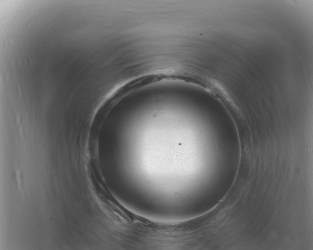 X0000067500532200604150110