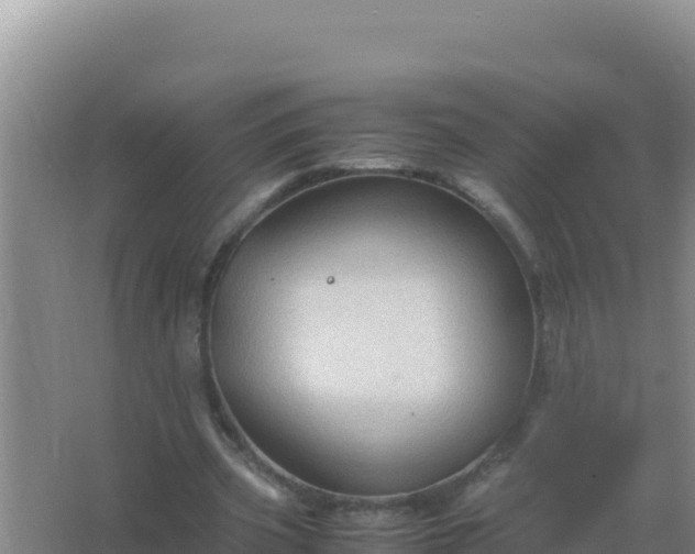 X0000067500533200604150110