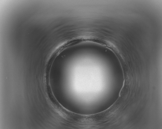 X0000067500535200604150110