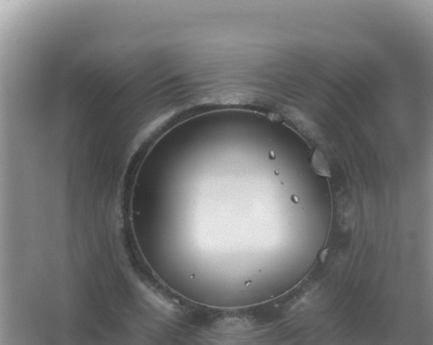 X0000067500536200604150110