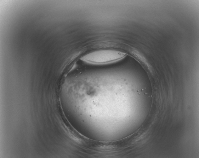 X0000067500537200604150110