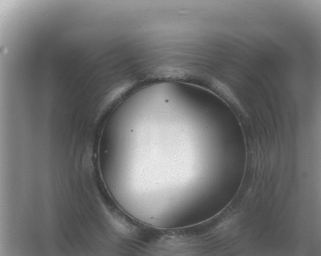 X0000067500538200604150110