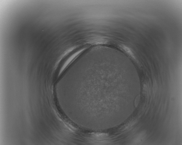 X0000067500539200604150110