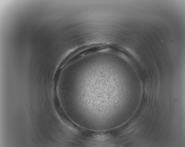 X0000067500540200604150110