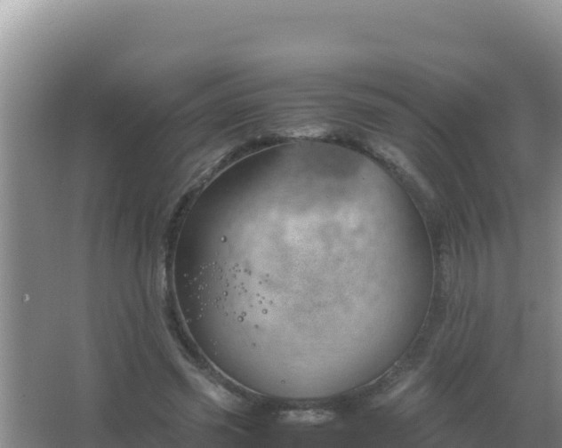 X0000067500541200604150110