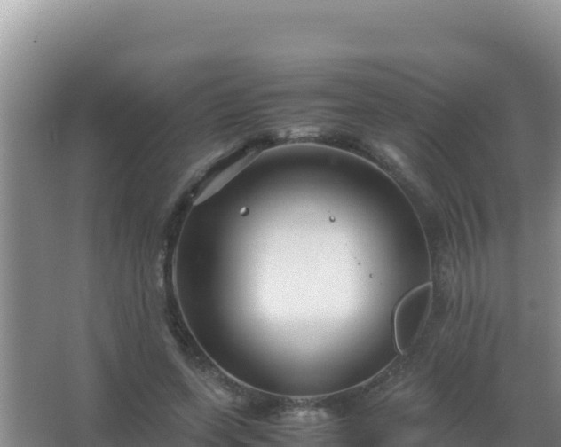 X0000067500543200604150110