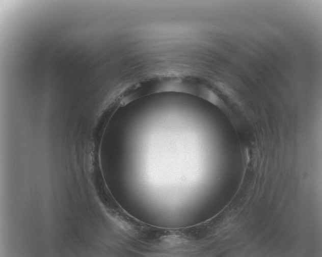 X0000067500544200604150110