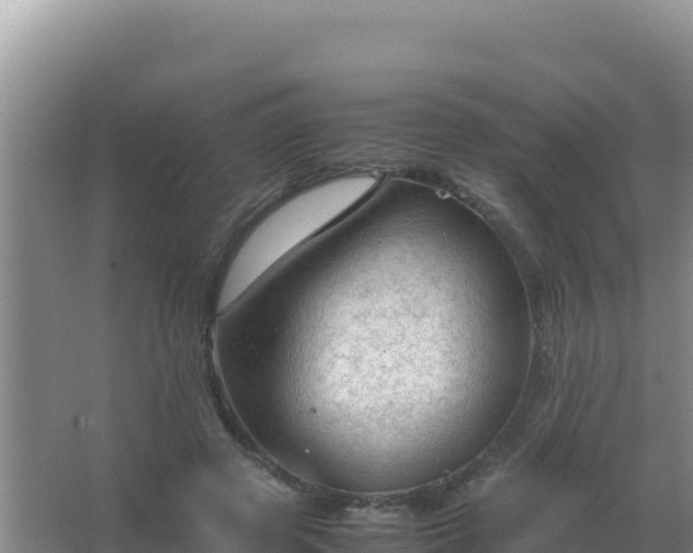 X0000067500545200604150110