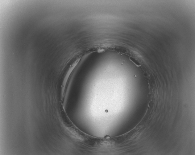 X0000067500546200604150110