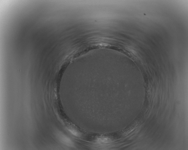 X0000067500547200604150110