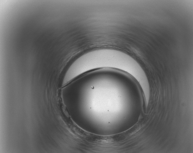 X0000067500548200604150110