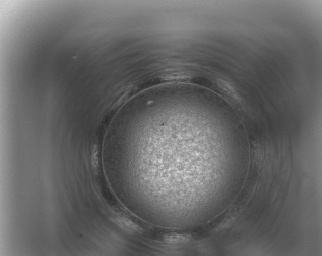 X0000067500549200604150110