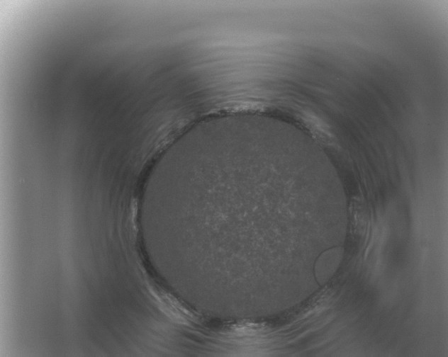 X0000067500550200604150110